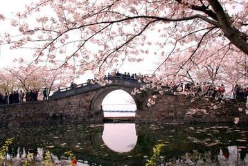 【乐GO之旅八日】乐GO之旅+普陀八日游（天天发班）