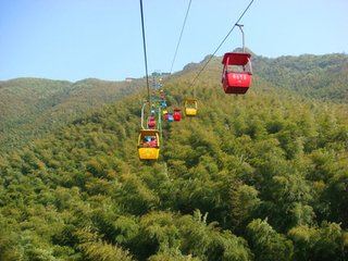 南山竹海纯玩一日游