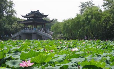 【乐GO之旅四日】华东五市+周庄+乌镇双水乡四日游（天天发班）