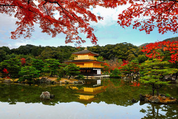 【暑期】日本本州全景6晚7日游（HO航空，畅游双古都，东京大阪各一天free）