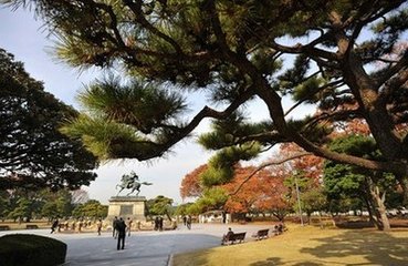 日本本州舒心5晚6日游（阪进东出，畅享花海，两晚温泉体验）